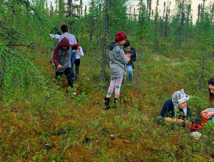 food-matters-2.jpg (133 KB)