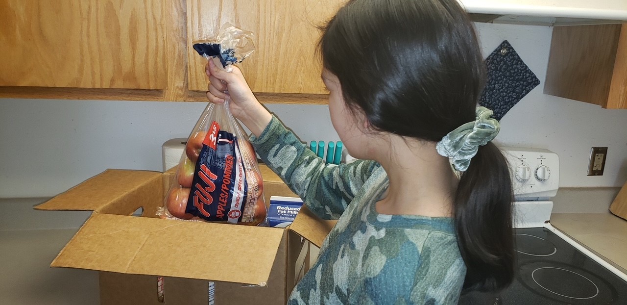 Kotzebue.jpg (185 KB)