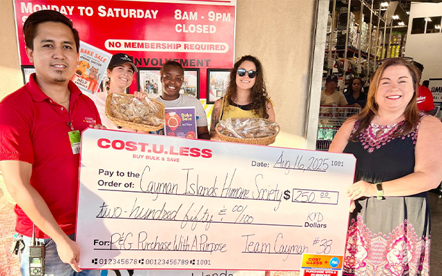 Main Image.png (478 KB)