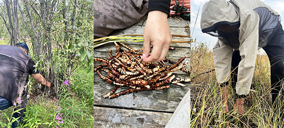 Northern Youth Leadership 1.png (348 KB)